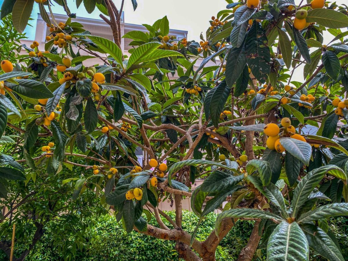 Al Giardino Del Nespolo Polignano a Mare Exterior foto